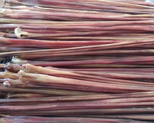 Dried Reed