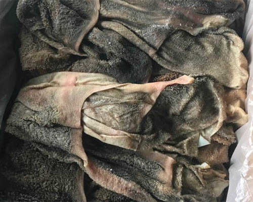 Salted Tripe