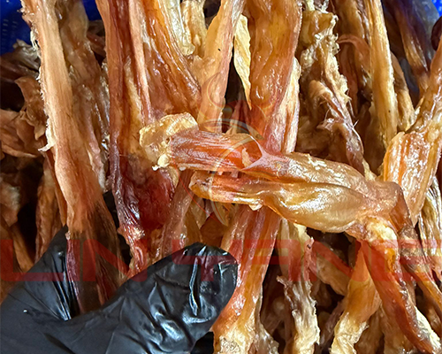 Kurutulmuş Tendon